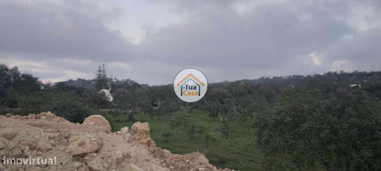 Terreno Rústico com Viabilidade de Construção de Hotel - Grande imagem: 2/15