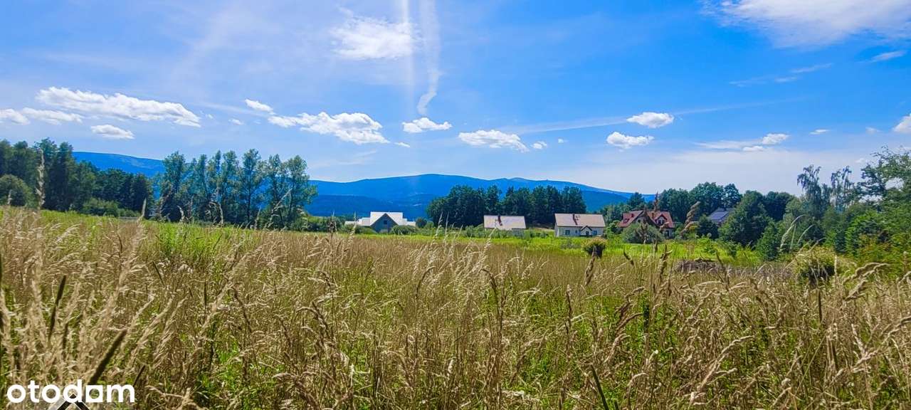 Działka widokowa w zielonej części Cieplic na końcu drogi-4