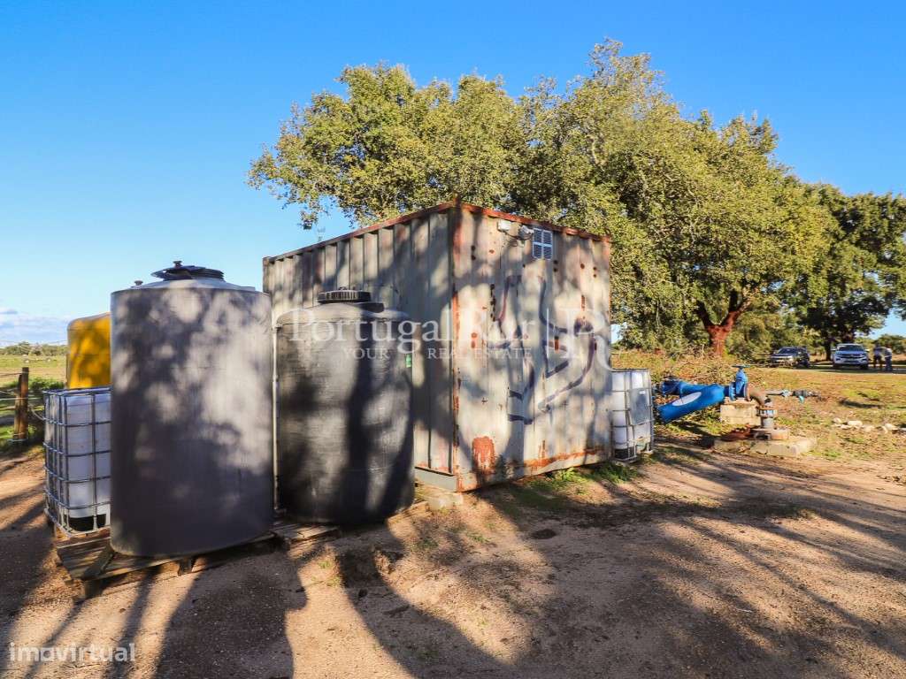 Herdade de 60 hectares para criação bovina e equina perto de Lisboa-53