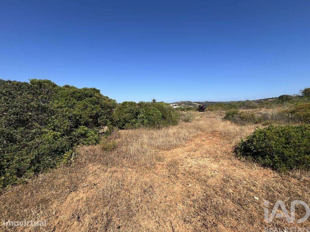 Terreno Agrícola em Barão de São Miguel - Grande imagem: 5/6