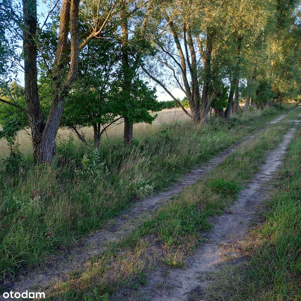 Skraj małej wsi, sąsiedztwo pola golfowego, media obok, droga gminna-10