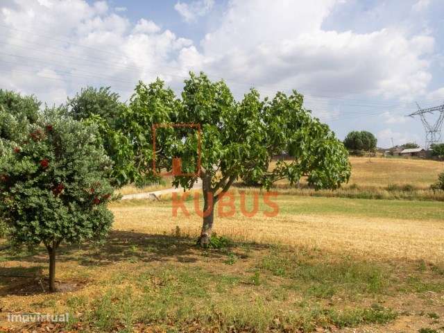 Terreno com Armazém - Charneca de Alcorochel - Grande imagem: 5/19