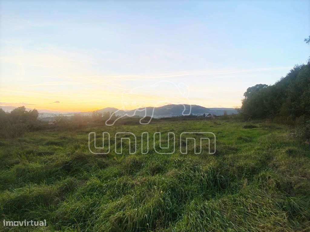 Terreno em Ponte de Lima - Grande imagem: 5/16