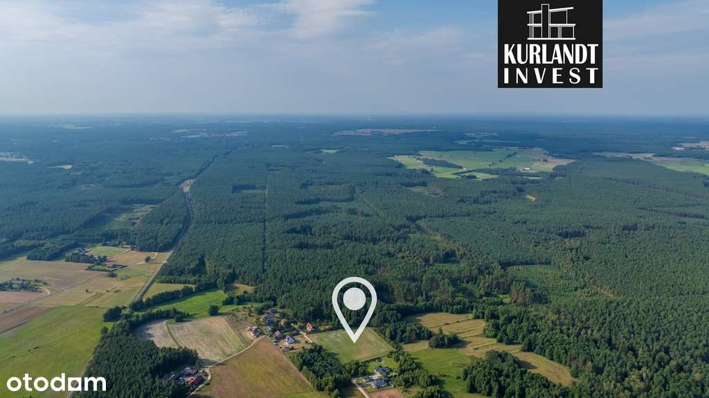 Działka budowlana 3682m² w sercu Borów Tucholskich - Pełny obrazek: 5/11