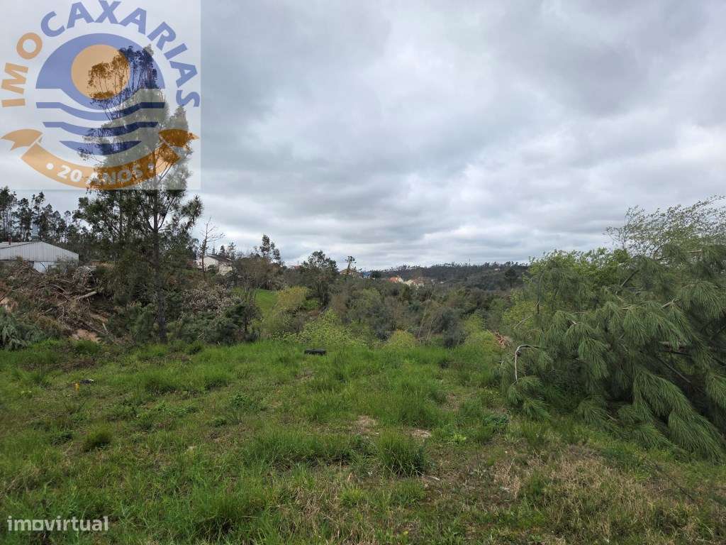 Terreno soalheiro e plano a 2 min de Caxarias e 10 min de Ourém-5