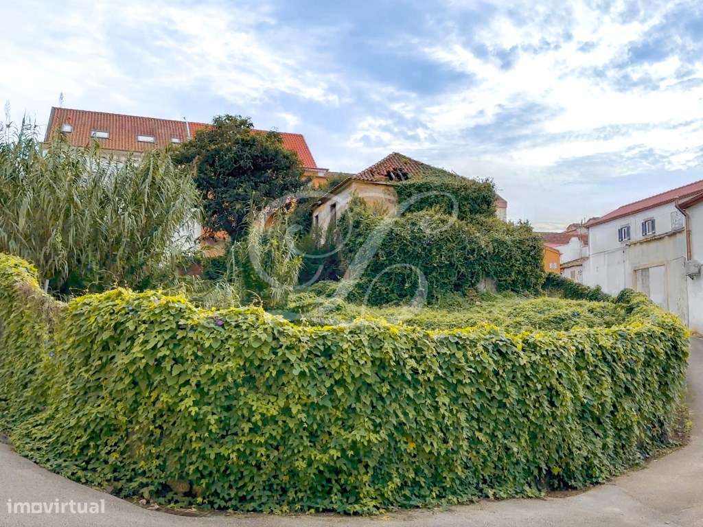 Terreno para prédio no centro de Mafra - Grande imagem: 5/10