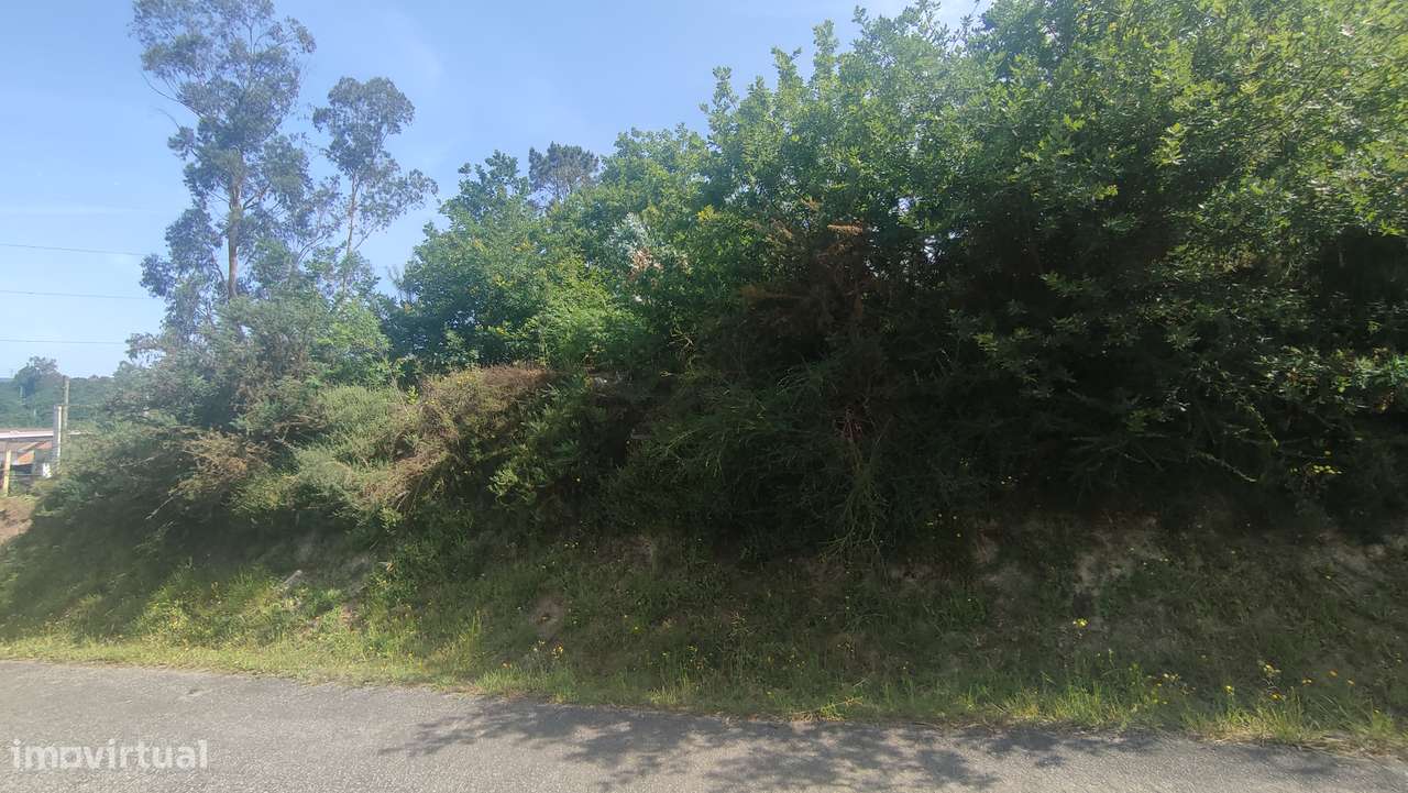 Terreno em Fiscal, Amares-13