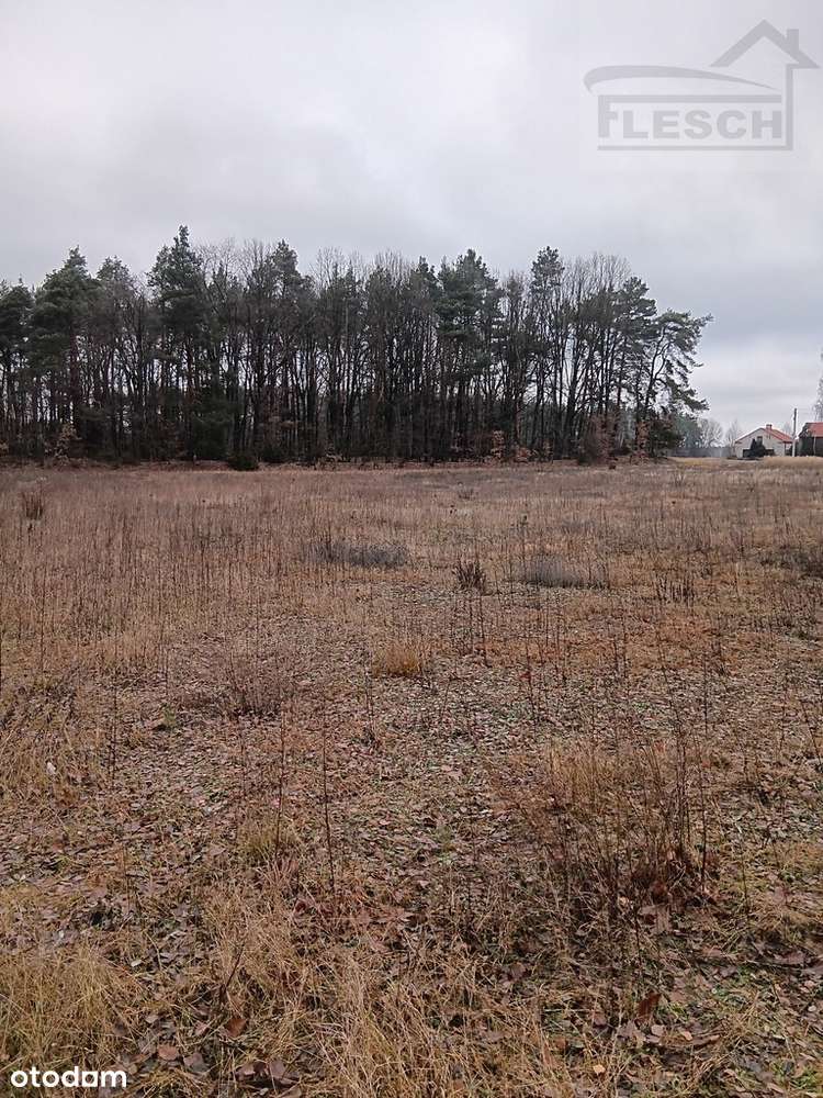 Bardzo ładna działka 12ha  Podlindowo Gm Mszczonów-8