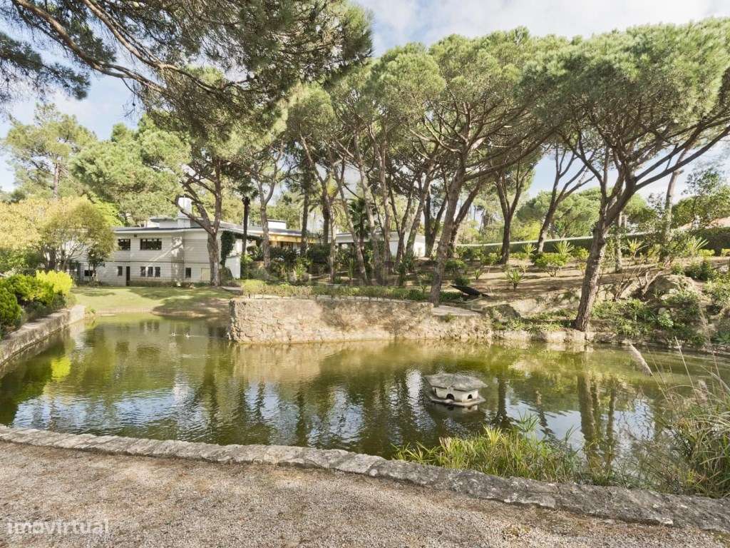 Propriedade no Estoril para renovação ou investimento-Lote de 7099 ... - Grande imagem: 2/11