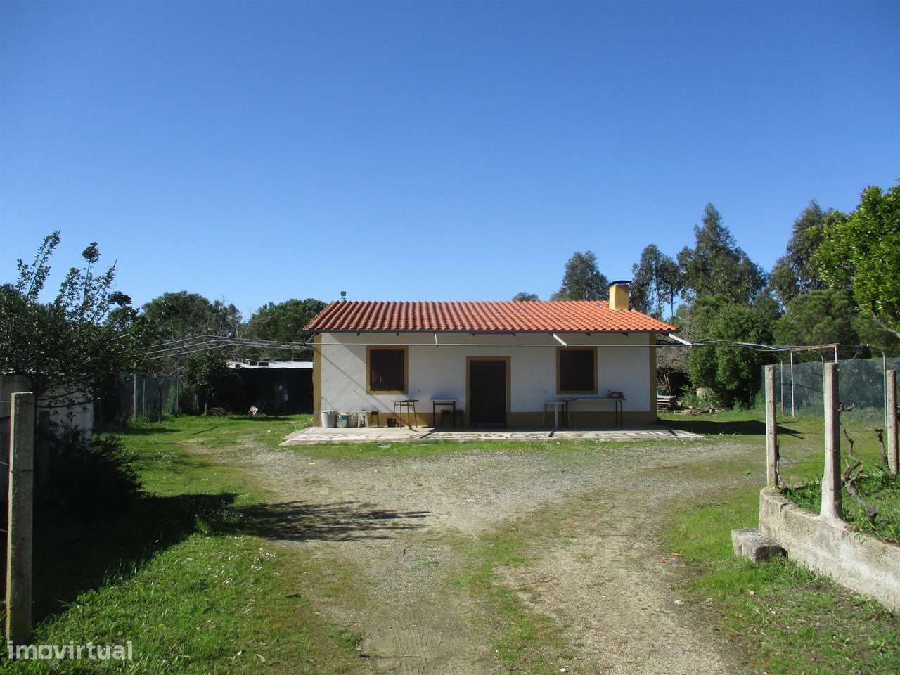 Quinta T0 Venda em Castelo Branco,Castelo Branco - Grande imagem: 3/17