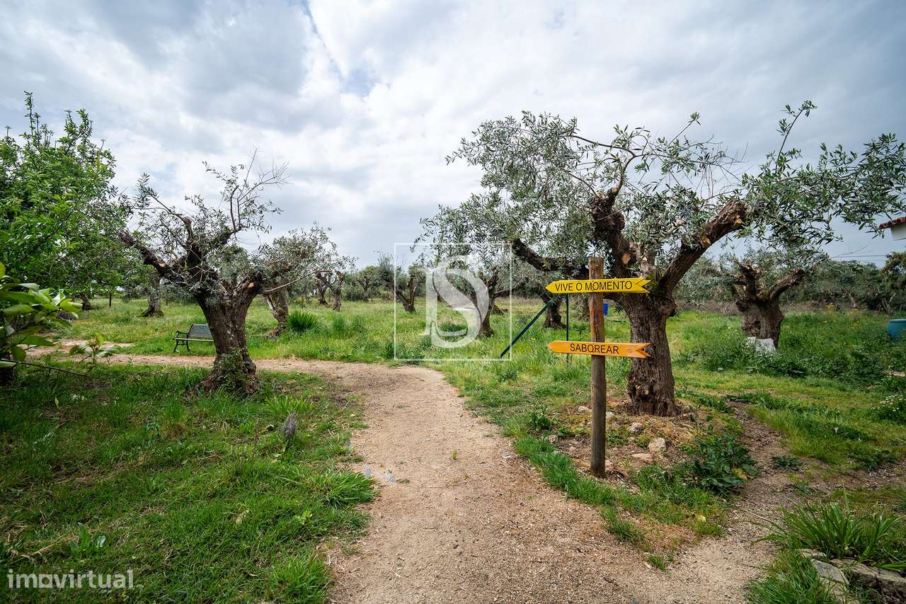 Herdade T9 Venda em Vimieiro,Arraiolos-29