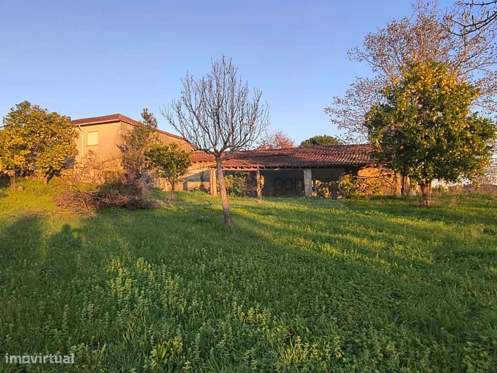 Quinta Tradicional com Elevado Potencial em Braga-46