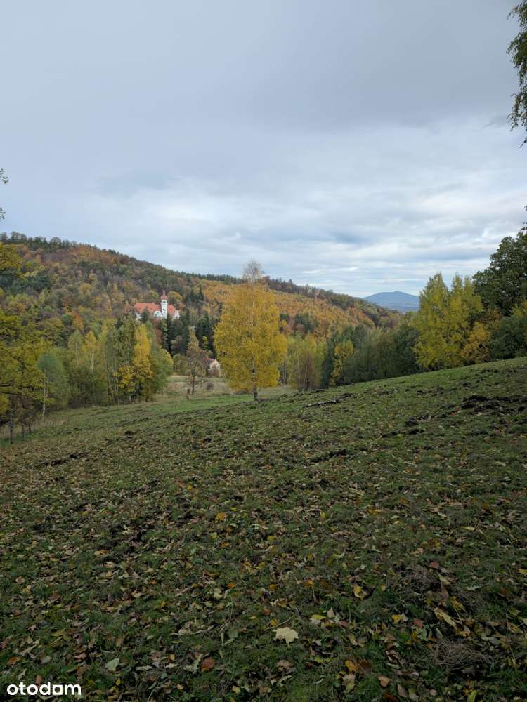 4 Działki przy lesie z widokiem na Góry Sowie-12