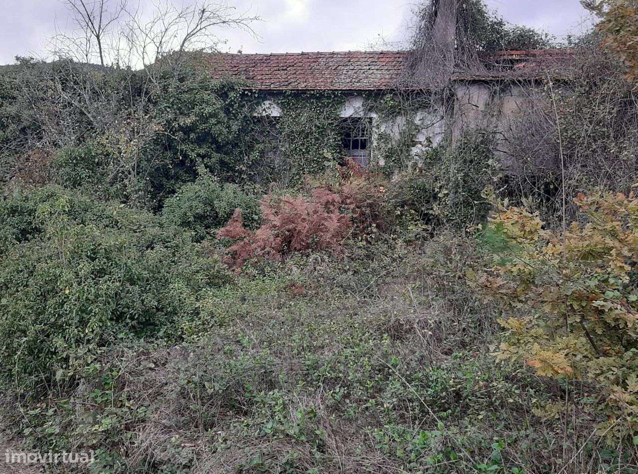 Vende Quinta em Paraíso Castelo Paiva - Grande imagem: 5/15