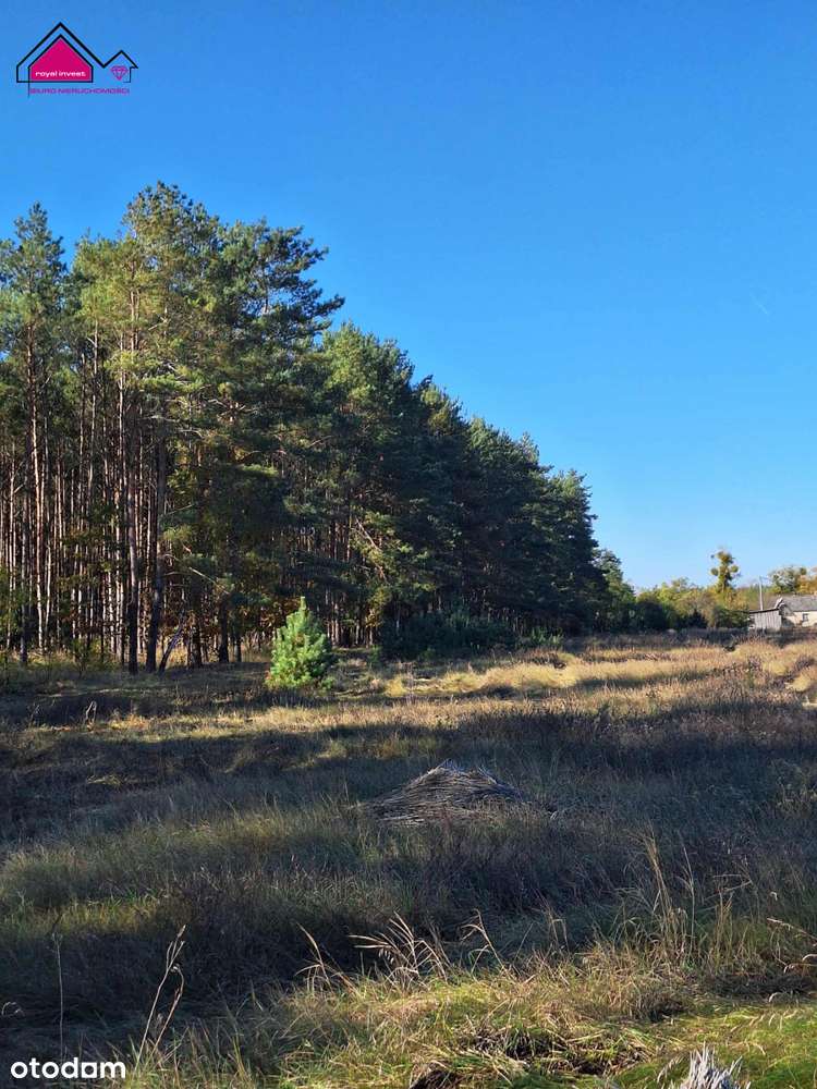 Unikatowa działka dla konesera ciszy i przestrzeni-11