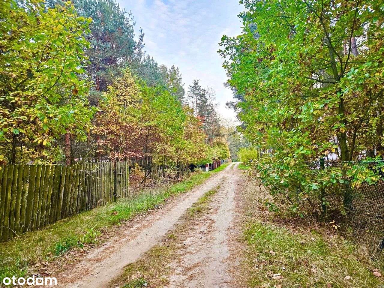 Urocza działka rekreacyjna w Osłoninie - Pełny obrazek: 5/5