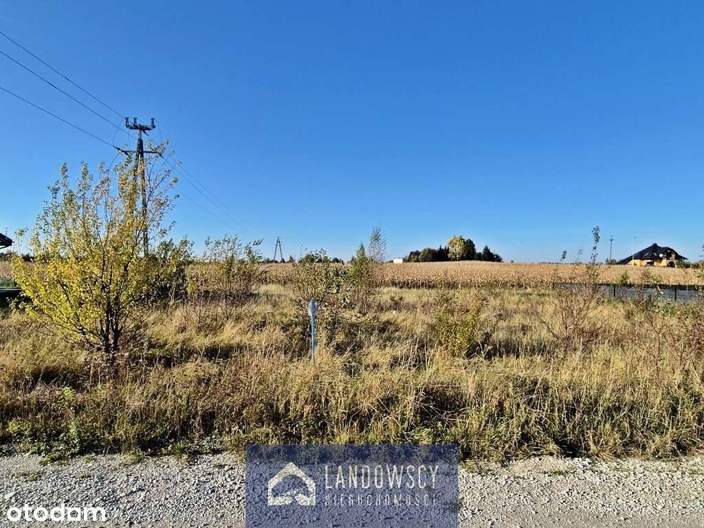 Działka z mediami blisko Borów | gm. Skórcz - Pełny obrazek: 5/20