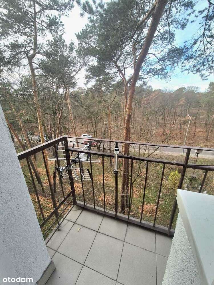 Idealna kawalerka w Otwocku z widokiem na las.-8