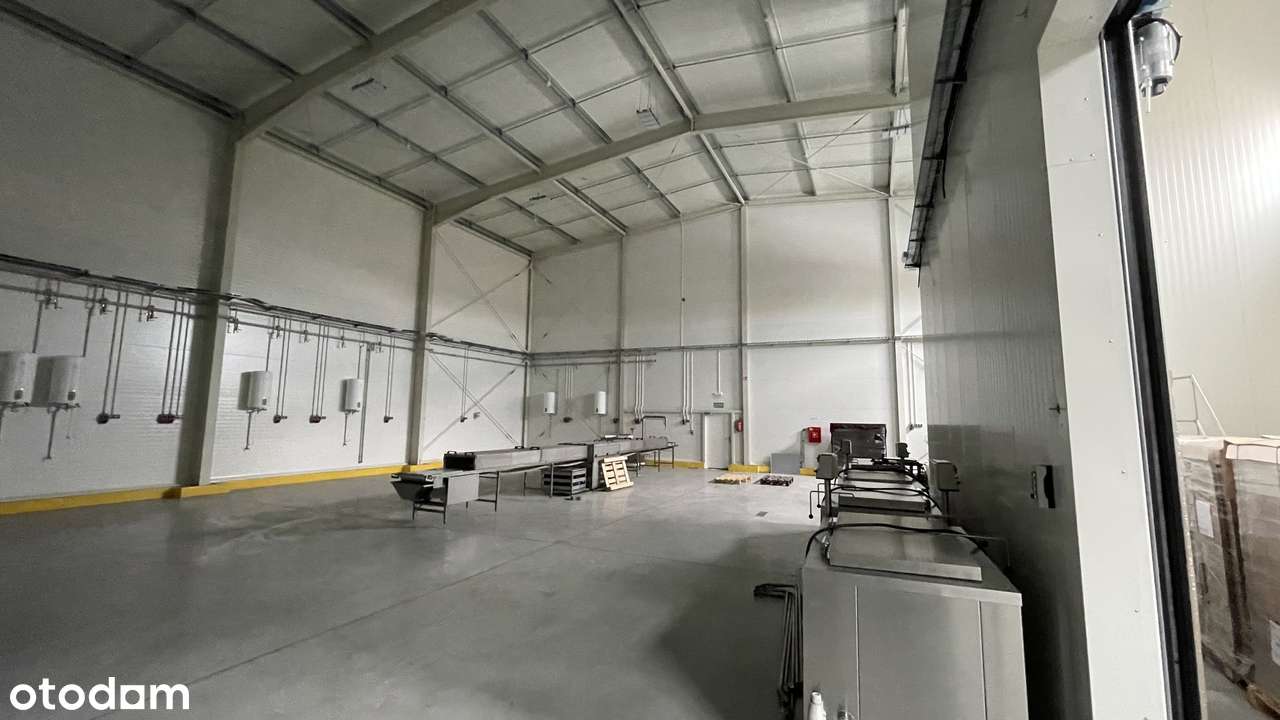 Hala/Magazyn na wynajem 1 080,00 m2 - Pełny obrazek: 5/9