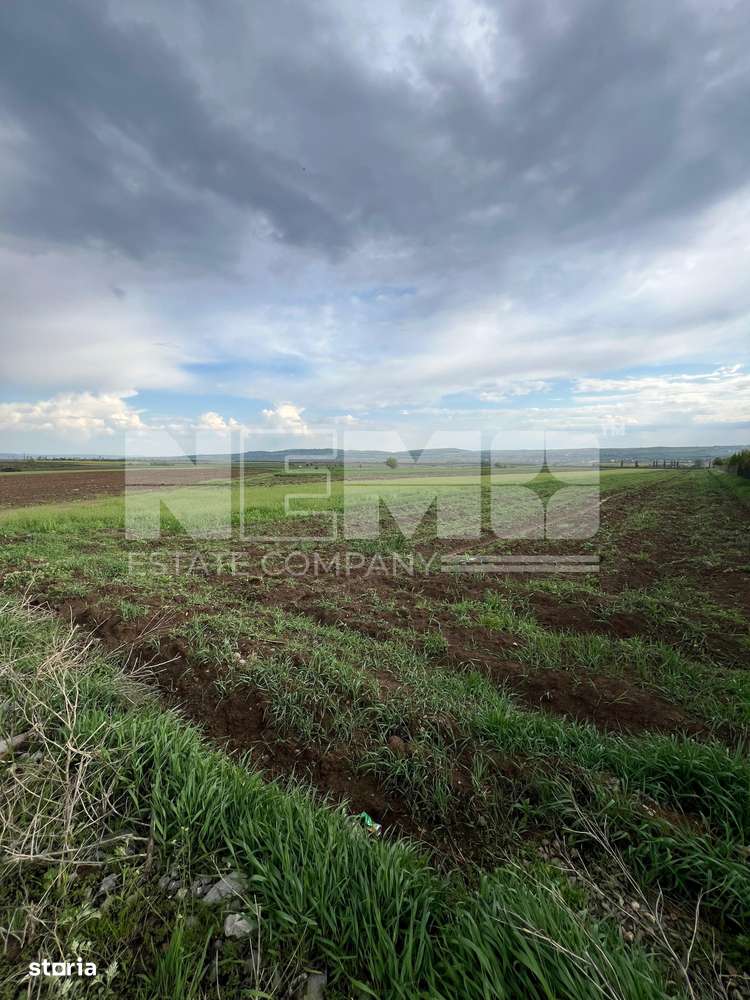 Teren, 2 000 m²,  - Imagine principală: 2/3