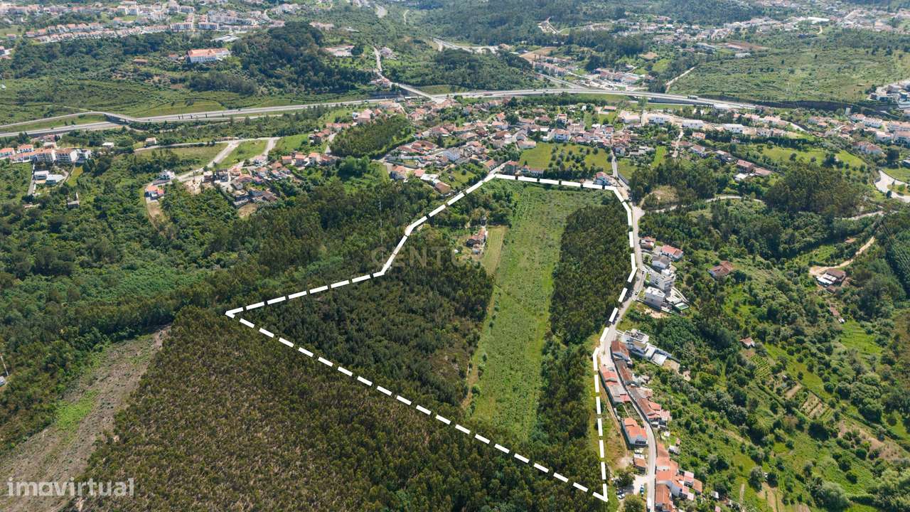 Quinta com 8 hectares com potencial para construção – Antanhol - Coimb-9