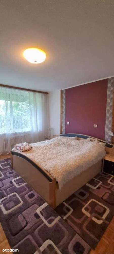 Dom z potencjałem - dwa poziomy, piękna działka, świetna lokalizacja!-8