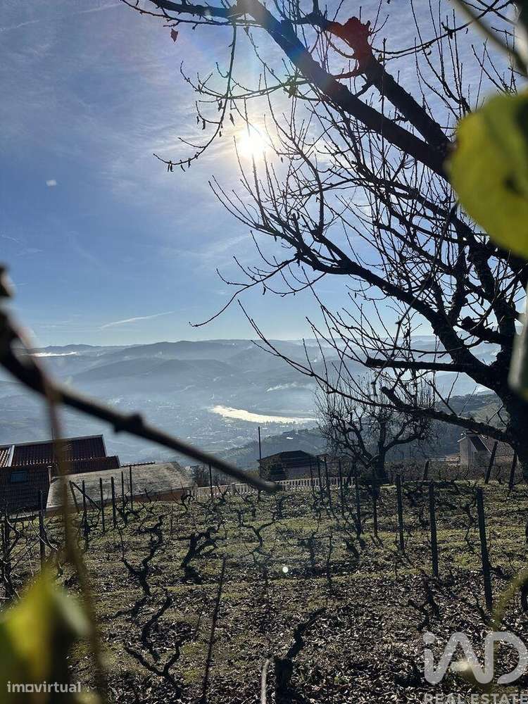 Casa / Villa T2 em Loureiro de 118,00 m2 - Grande imagem: 5/12