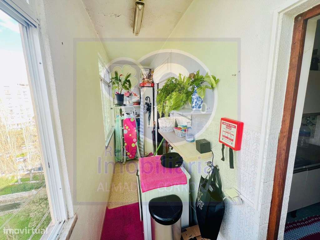 T2, bem localizado - Grande imagem: 5/14