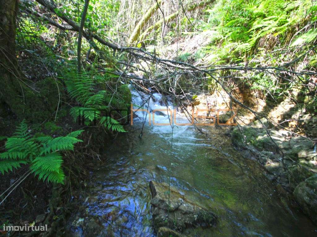 Quinta de 5.6 ha - Varias edificações, ribeiro e vista Douro-23