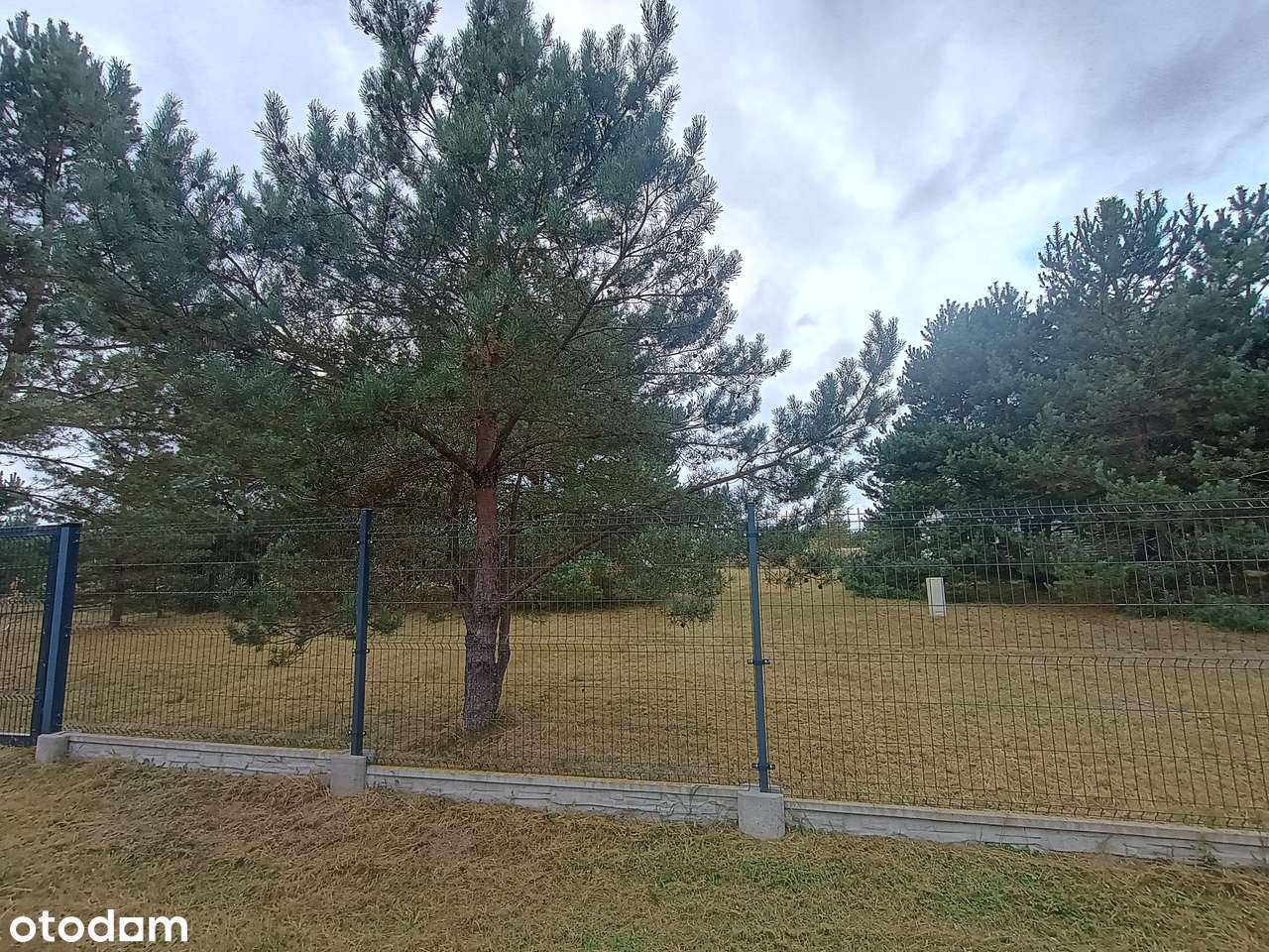 Działka rekreacyjna z DOMEK FRANCUSKI !!! - Pełny obrazek: 4/19