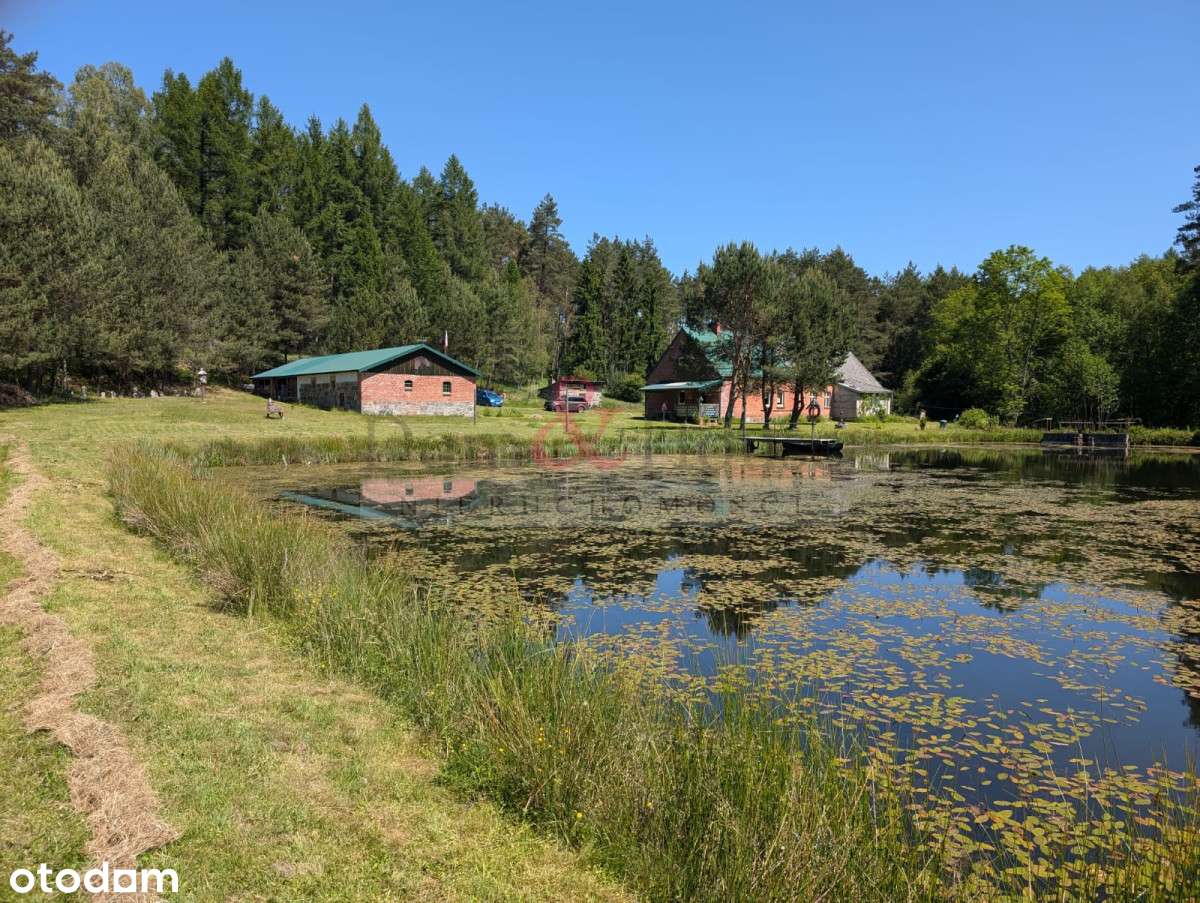 Raj dla duszy -  slow life Bory Tucholskie - Pełny obrazek: 3/20