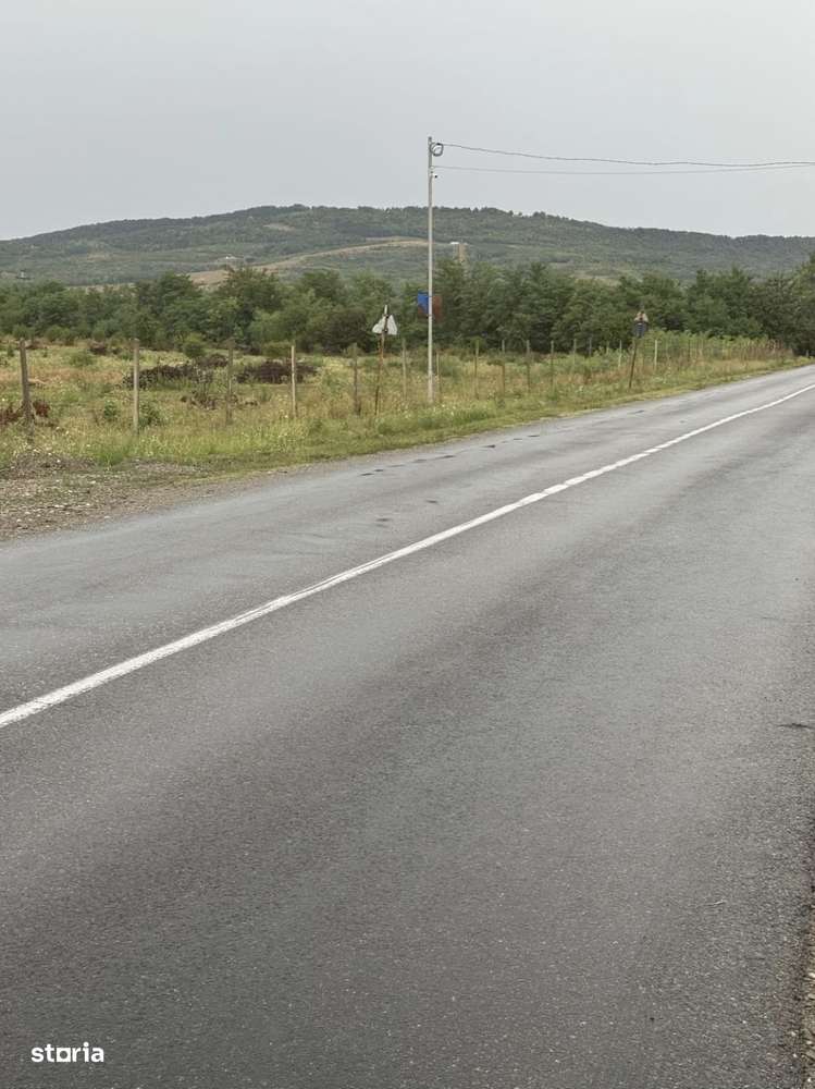 Loturi de teren, in rate-2