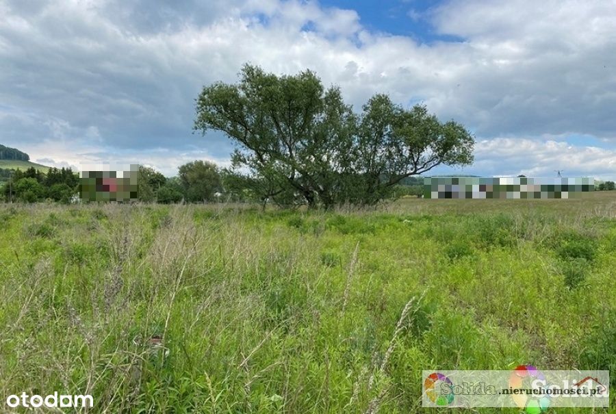 działka budowlana - 2200 m2 Siedlęcin