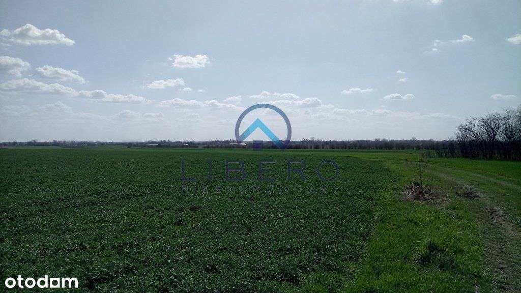 Kacice działka 4158 m2 Wz na 3 budynki mieszkalne - Pełny obrazek: 3/9