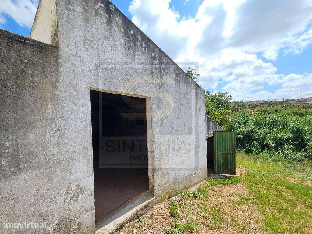 Moradia para Recuperar com Terreno de 1.600 m² na Ventosa, Cadaval-12