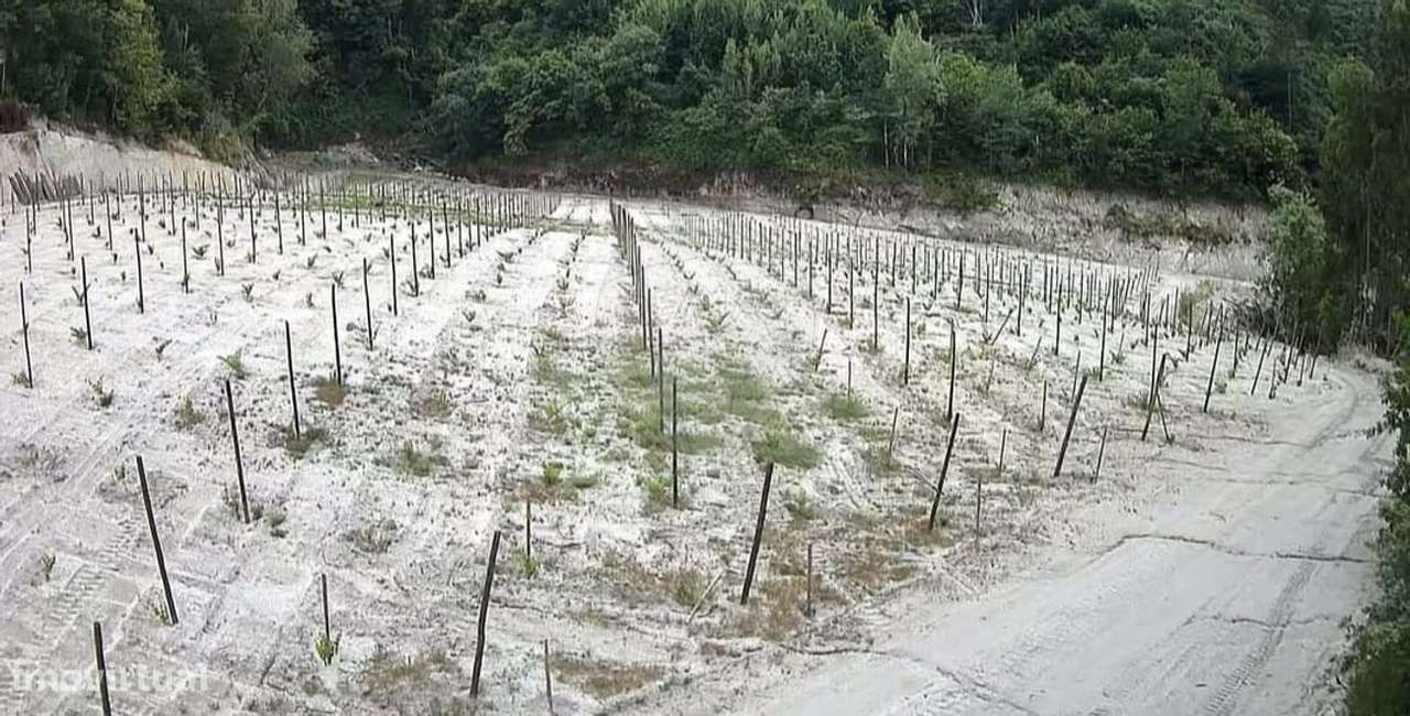 Terreno  para venda - Grande imagem: 4/11