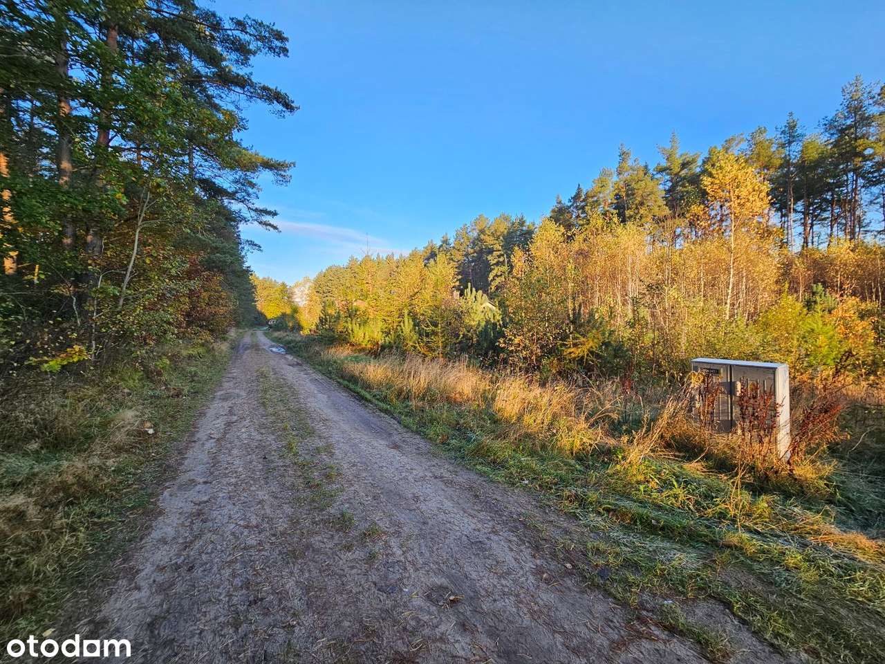 Działka Leśniewo 1062 m², przy lesie, cisza i spokój, wydane WZ-1