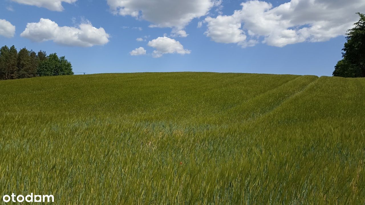 Malownicza działka pod Trójmiastem czeka na Ciebie