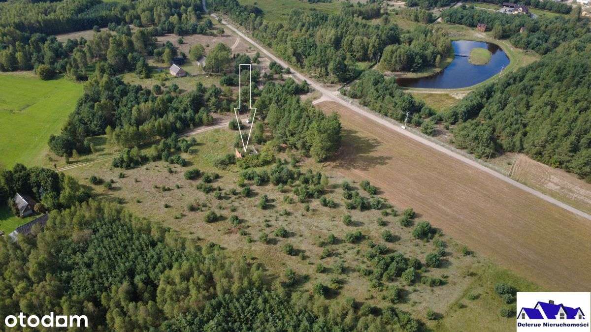 Siedlisko w sąsiedztwie lasu-3