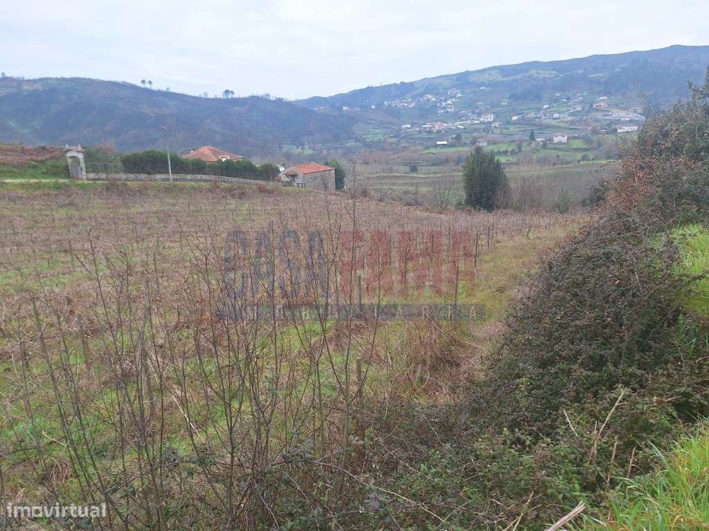 Terreno de 8000m² à Venda em Baião - Uma Oportunidade Única no Nort... - Grande imagem: 5/26