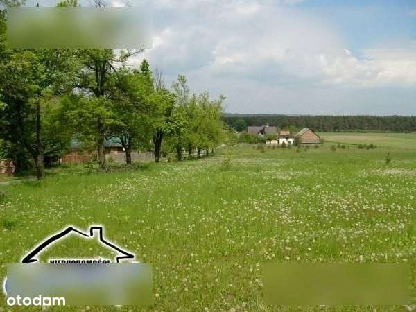 Działka, 1 281 m², Kroczyce - Pełny obrazek: 4/5