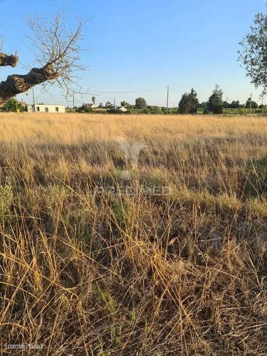 Terreno Lau Palmela - Grande imagem: 2/5
