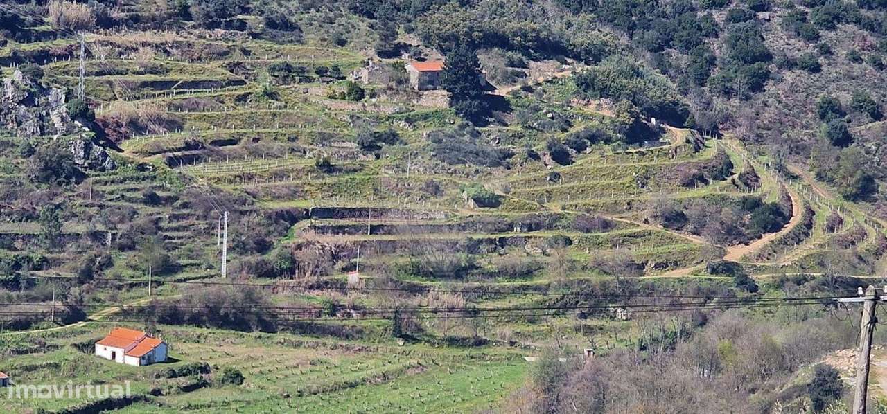 Quinta  para venda - Grande imagem: 5/19