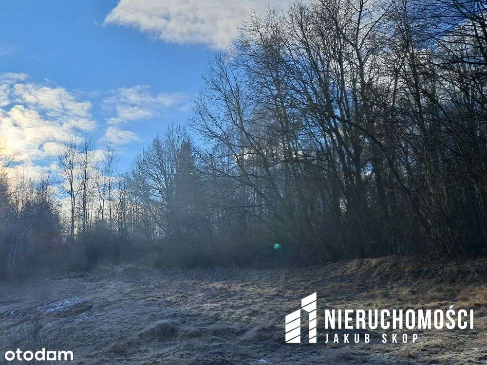 Działka z domem 76,44 ar Wola Radziszowska - Pełny obrazek: 4/10