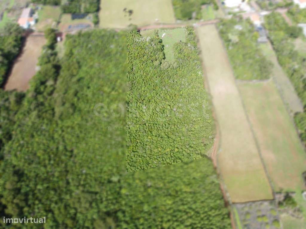 Terreno com vista para a Montanha do Pico na Freguesia das Bandeira... - Grande imagem: 4/14