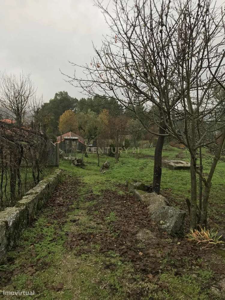 Moradia V4 + Moradia para Restauro + 1000 m² de terreno em Tabuado, Ma-26