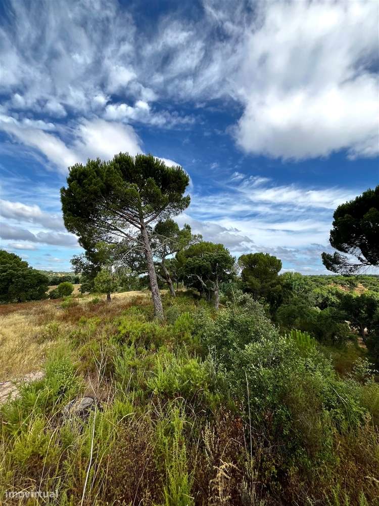 Quinta >=T10 Venda em Cortiçadas de Lavre e Lavre,Montemor-o-Novo-56
