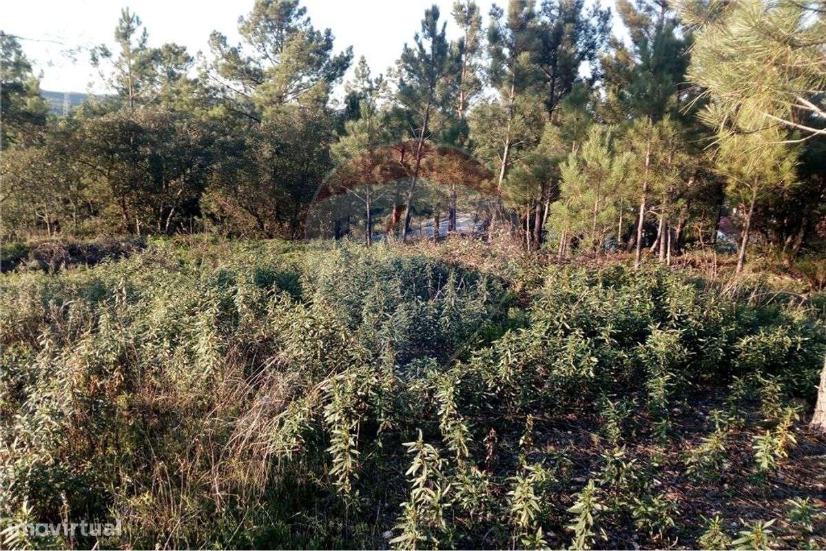 TERRENO PARA CONSTRUÇÃO - Grande imagem: 5/11