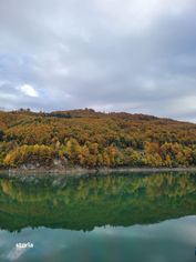 Teren intravilan 5000 mp Valea Doftanei - deschidere la Lacul Paltinul