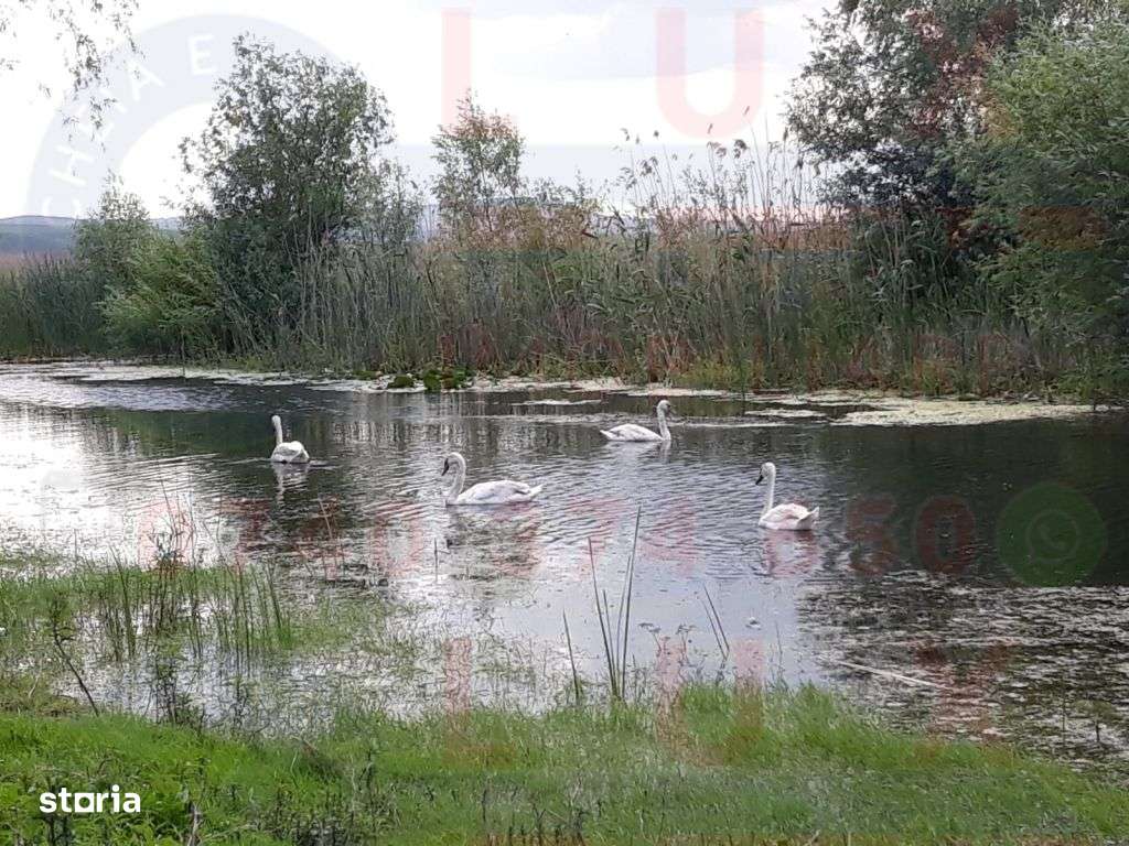 ID 7563 Teren Sat MINERI cu DESCHIDERE la Lacul CASLA - Imagine principală: 5/10